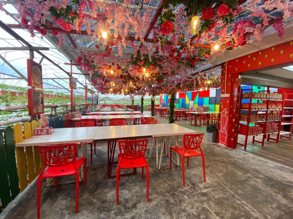 Aiza Homestay Opposite Abang Strawberry Taman Sedia Tanah Rata Eksteriør bilde