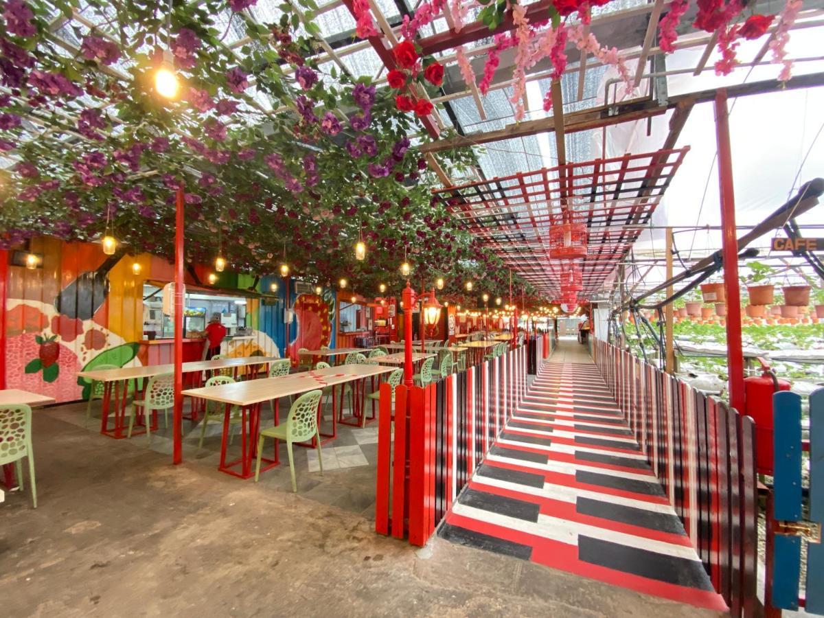 Aiza Homestay Opposite Abang Strawberry Taman Sedia Tanah Rata Eksteriør bilde