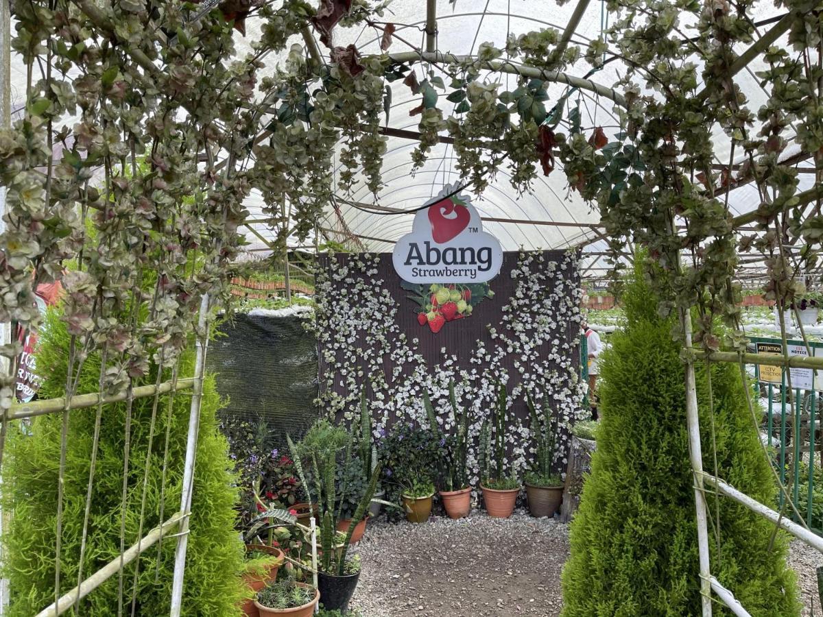 Aiza Homestay Opposite Abang Strawberry Taman Sedia Tanah Rata Eksteriør bilde